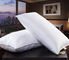 90% Duck Goose Feather Pillows Cotton Percale Pillow Insert Customized